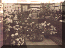 25-jarig bestaan �De Katoenbaal� , zaak van Isaac Leeraar aan de Klarendalseweg 528 te Arnhem in 1933. V.l.n.r Rebecca Leeraar (1912), Alexander Leeraar (1910),  nb, Isaac Leeraar (1885) en echtgenote Line Moses (1888),  beide heren rechts onbekend.